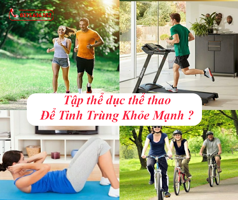 Tập thể dục thể thao tinh trùng khỏe mạnh