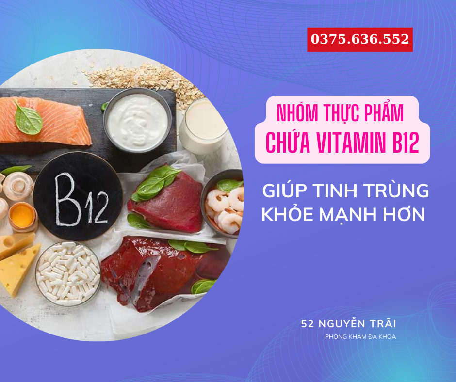 Nhóm Thực phẩm chứa vitamin B12