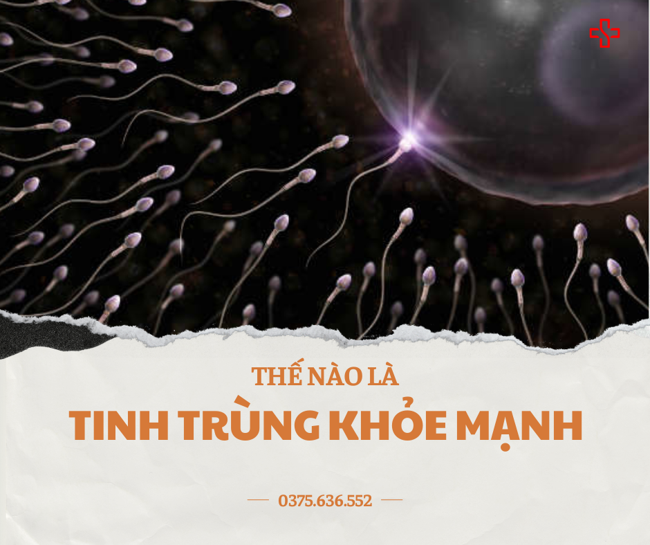 Tinh trùng khỏe mạnh